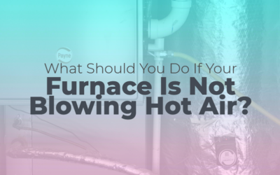 What Should You Do If Your Furnace Is Not Blowing Hot Air?